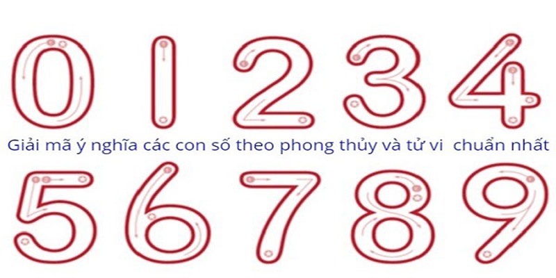 Hướng dẫn tra cứu thông tin giải mã số học chuẩn xác